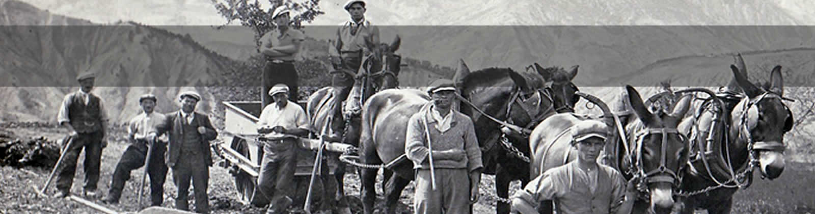 Aubery Travaux Publics - Historique