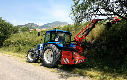 Aubery TP - Forestier